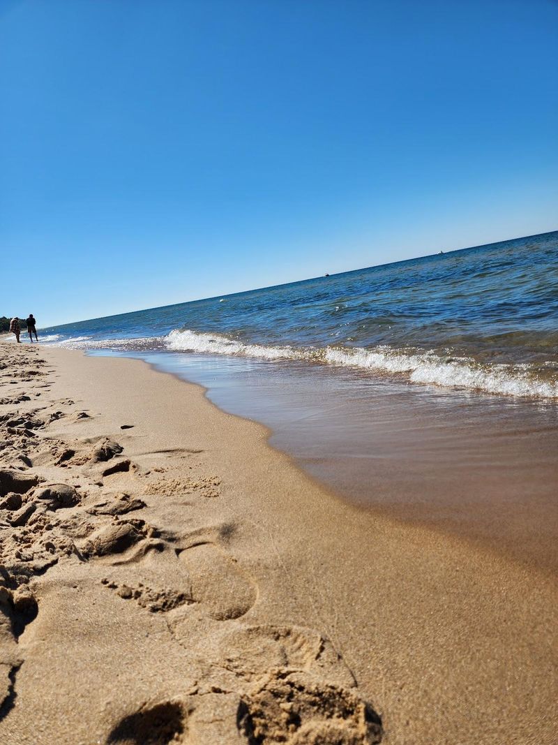 Oval Beach's Perfect Circles