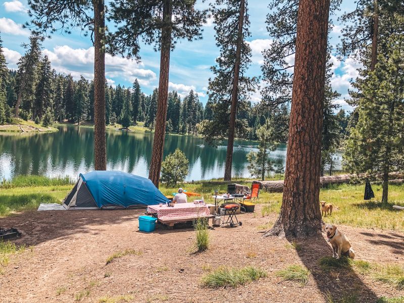 Off-Grid Creativity