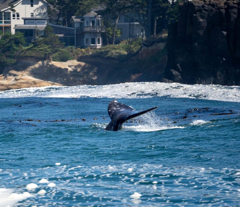 Depoe Bay
