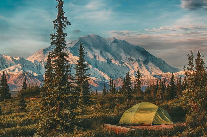 Denali National Park, Alaska