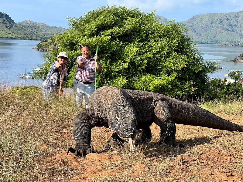 11. Komodo National Park (Indonesia)