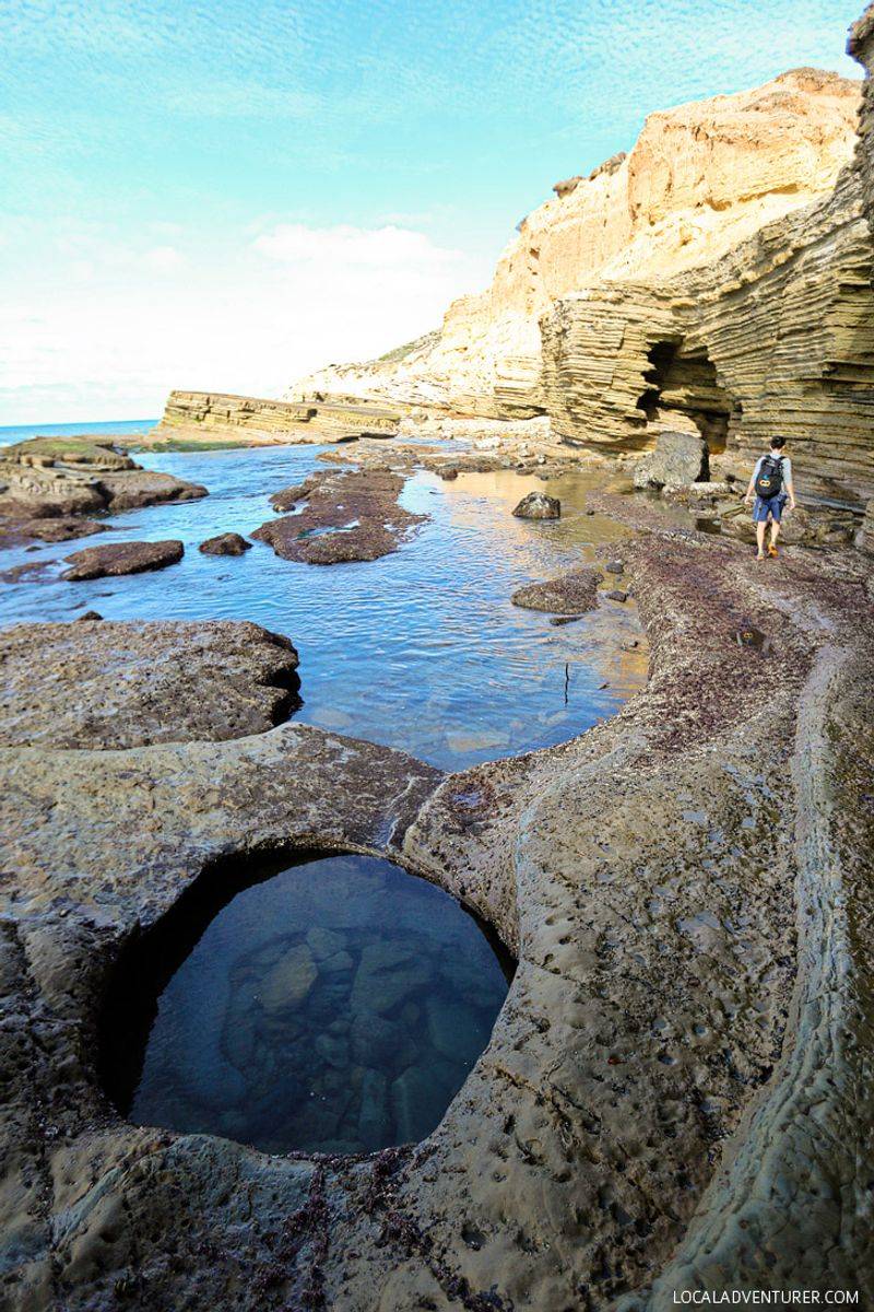 Cabrillo National Monument Tidepools — Point Loma (San Diego)