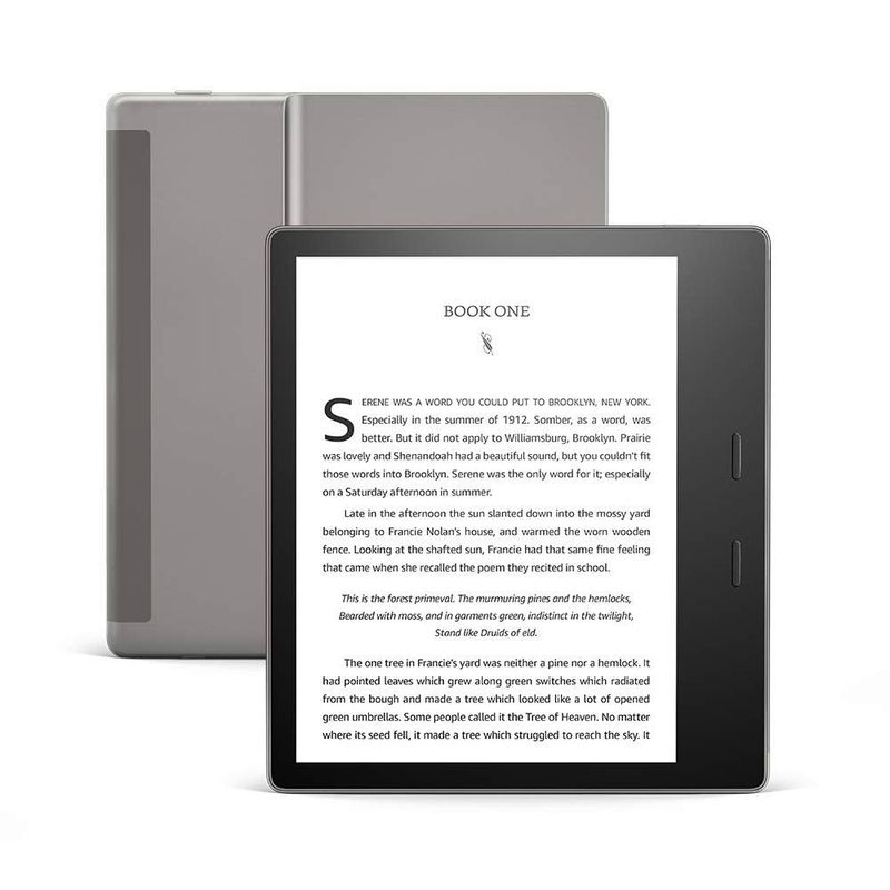 Cold-Resistant E-Reader