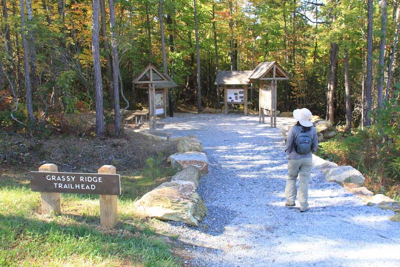 Trailhead: Grassy Ridge Access