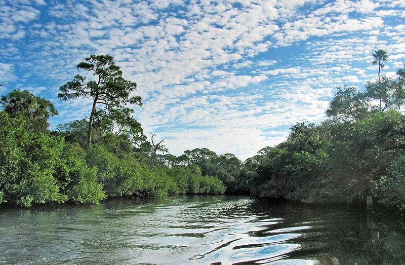 Estero Bay Preserve - Florida's First Aquatic Treasure