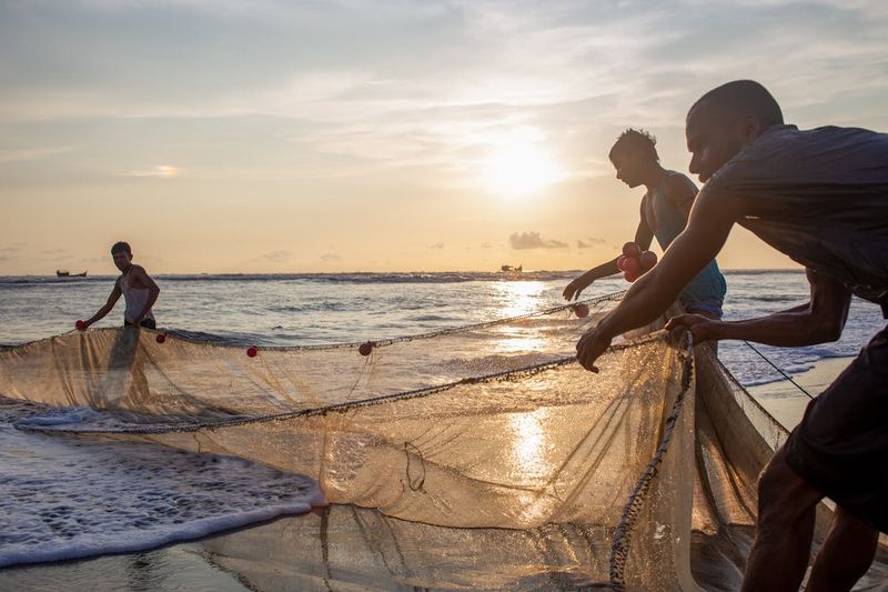 The Dawn Fishermen's Arrival