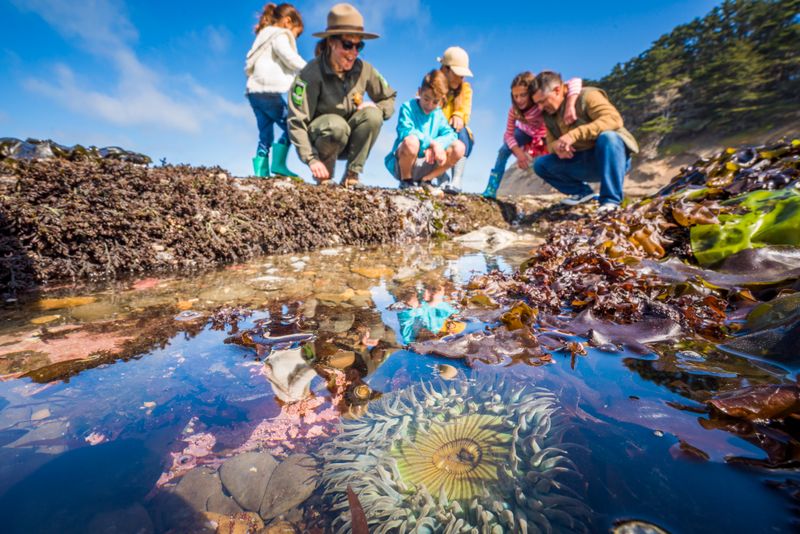 Fitzgerald Marine Reserve — Moss Beach (San Mateo County)