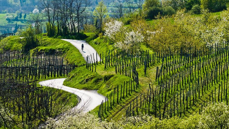 Vipava Valley, Slovenia