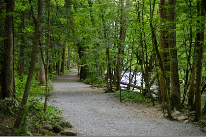 Gatlinburg Trail (≈2 miles one-way; 4 miles roundtrip)