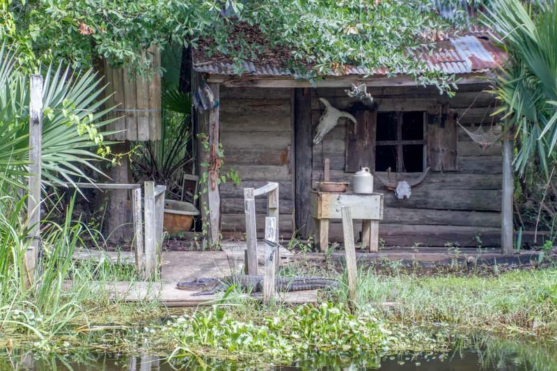 Remote Network of Back-Swamp Communities
