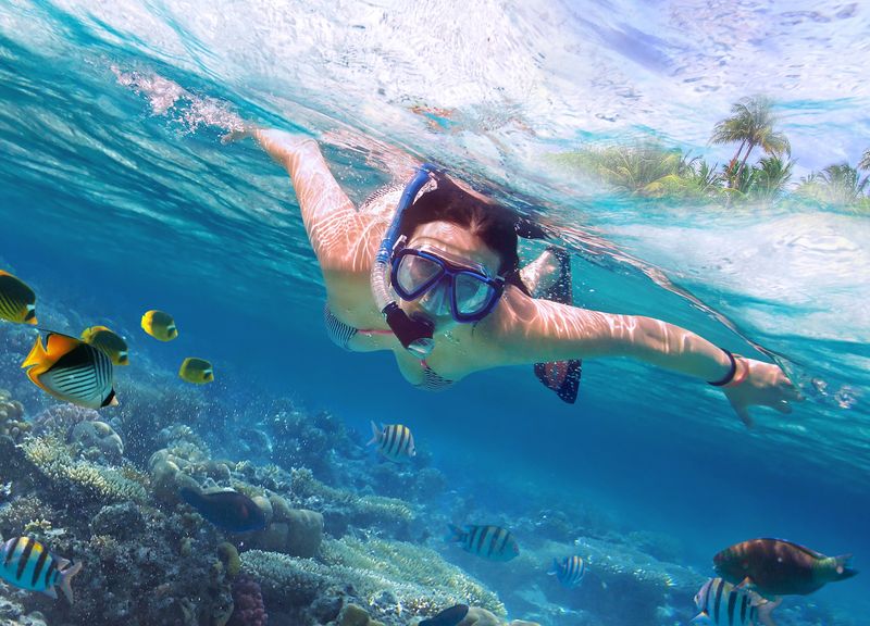Snorkel Gear (Optional)