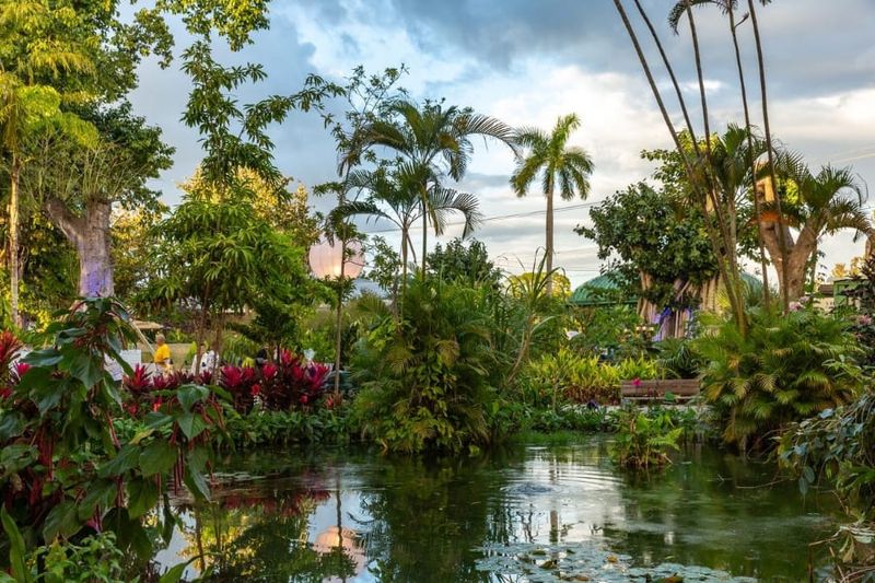 Bonita Nature Place - Free Family Fun with Rescued Wildlife