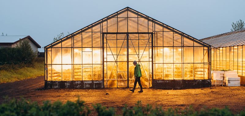 From Greenhouse to Lunchroom: Educational Nourishment