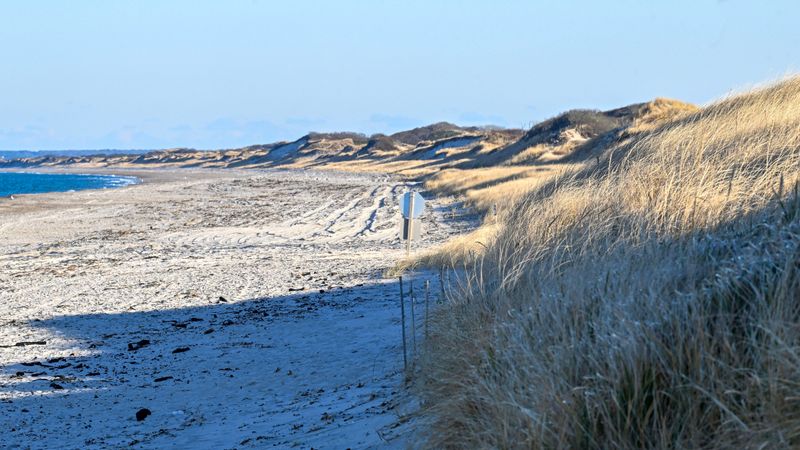 Barnstable (Cotuit/Osterville & Sandy Neck)