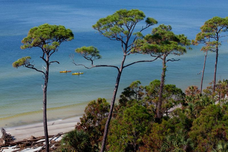 Experience Florida's Forgotten Coast Magic