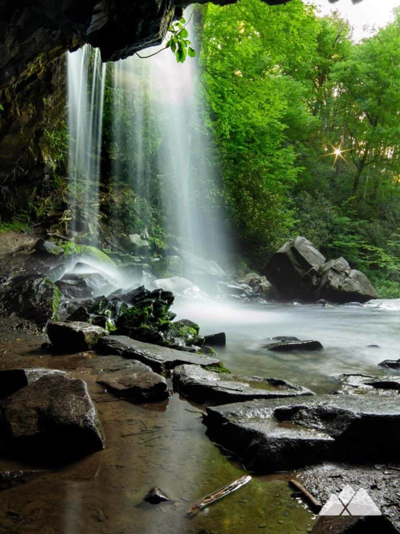Grotto Falls via Trillium Gap (≈2.6–3.0 miles roundtrip)