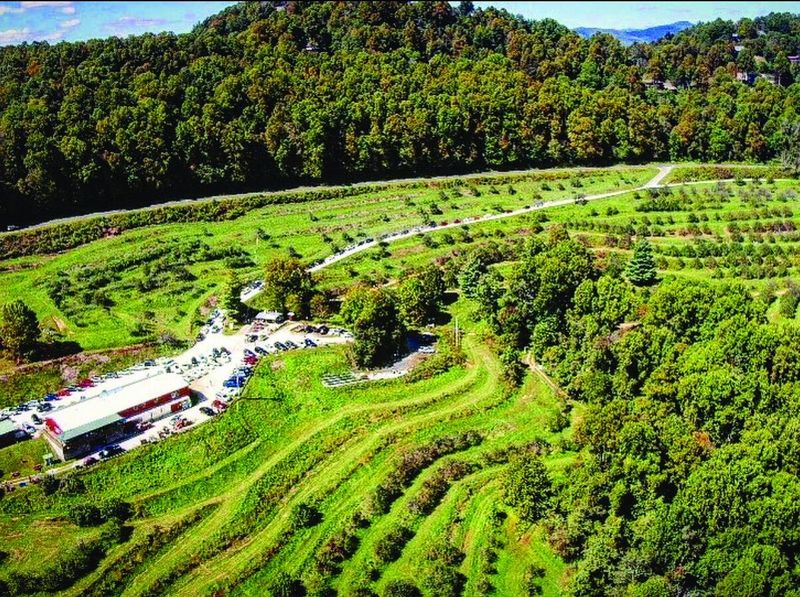 Orchard at Altapass, Blue Ridge Parkway Milepost 328.3
