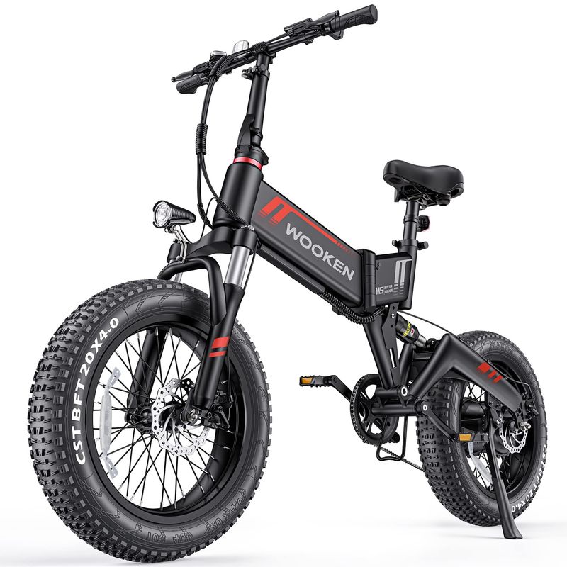 Wooken 500W Fat Tire Folding MTB