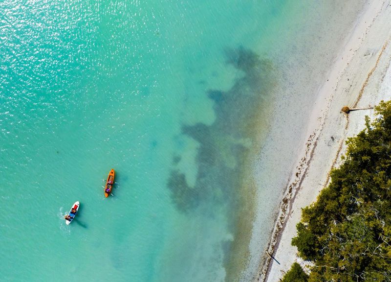 Paddle Through Oyster Grove Environmental Park's Waters