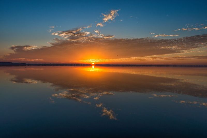 Capture Picture-Perfect Wildlife Moments