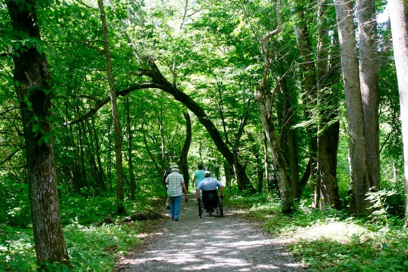 Oconaluftee River Trail (1.5 miles one-way; 3 miles roundtrip)