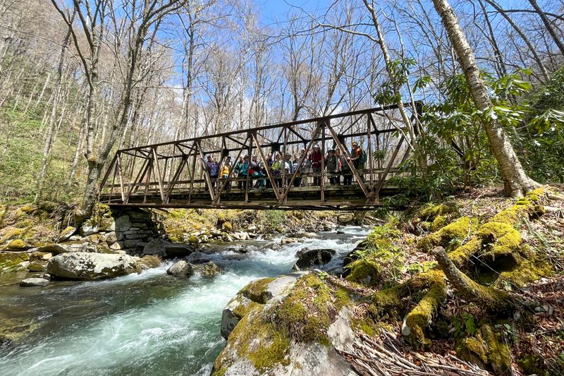 Bradley Fork Trail (stroll as far as you like; gentle first 3.9 miles)