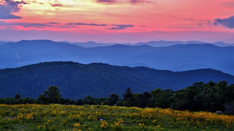 Bearwallow Mountain
