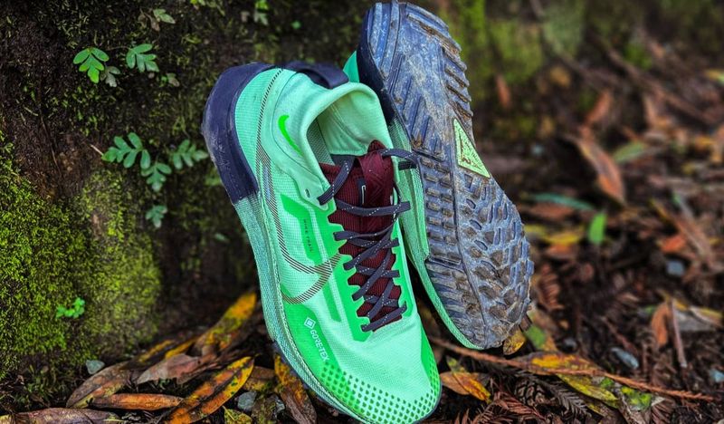 Nike Pegasus Trail 4 GORE-TEX — road-to-path versatility