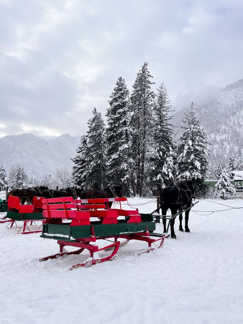 Experience Magical Horse-Drawn Sleigh Rides