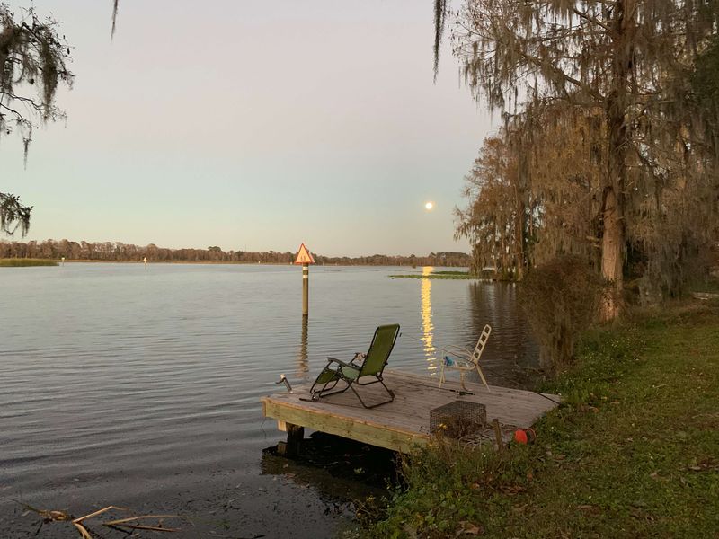 Explore the Calm Waters of Lake Rousseau