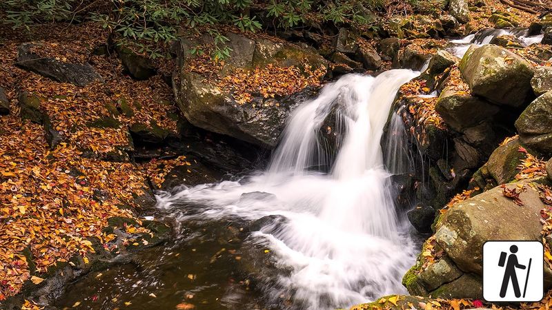 Lynn Camp Prong Cascades via Middle Prong Trail (1.4 miles roundtrip)