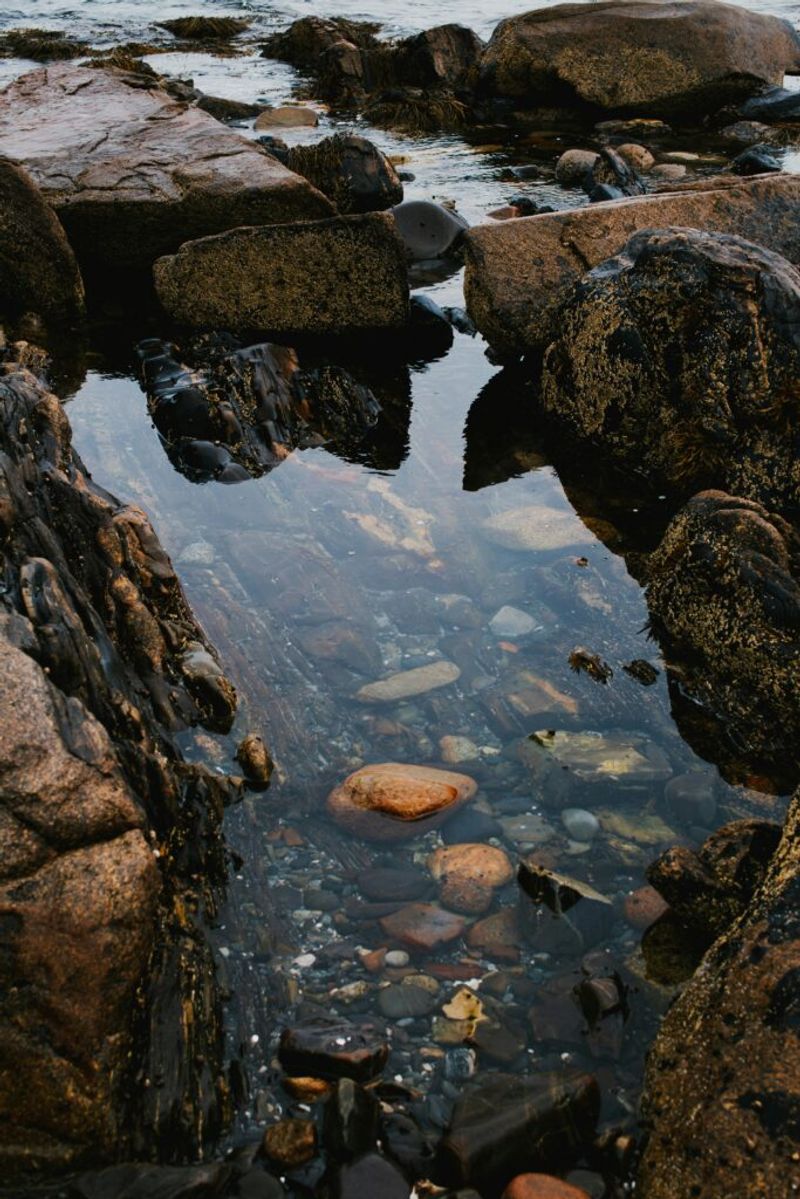 Leo Carrillo State Park — Malibu (Sequit Point)