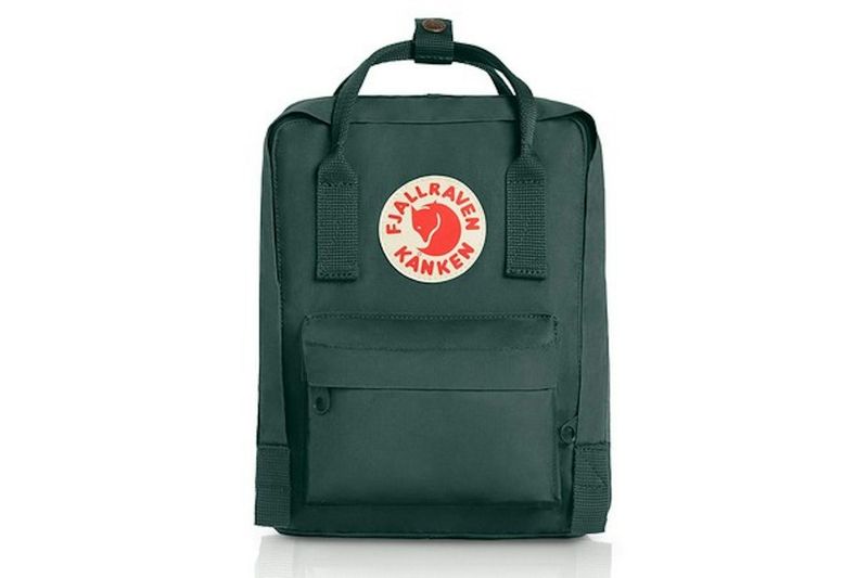 Day Bag or Backpack