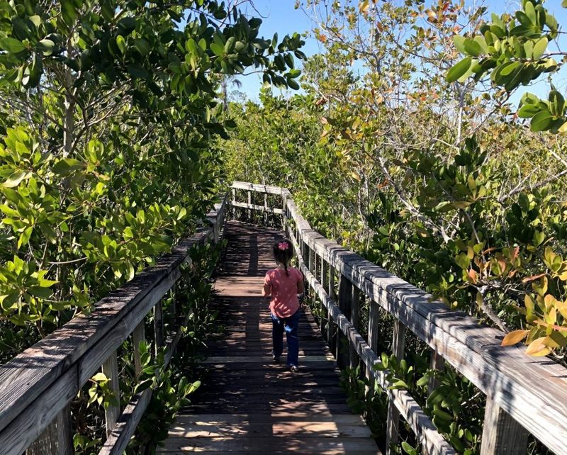 Rookery Bay Research Reserve