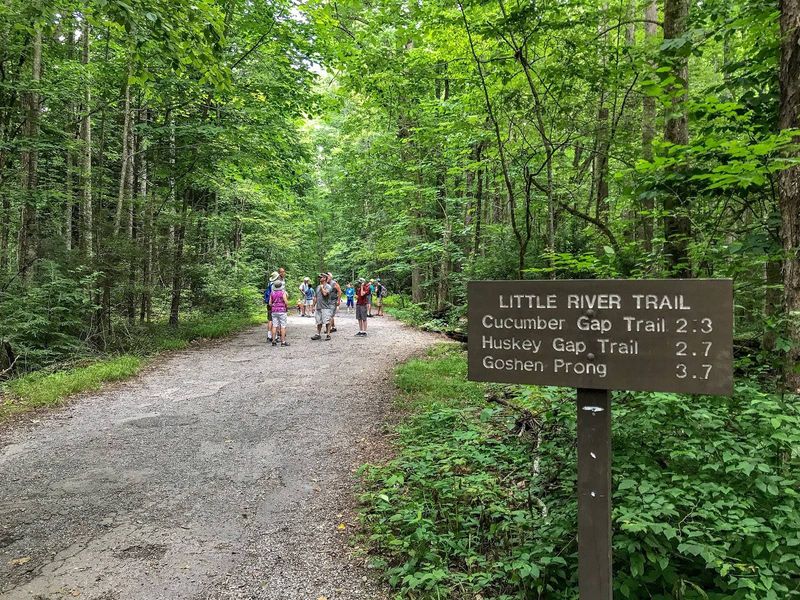 Little River Trail (choose your distance; easy first 2–2.7 miles)