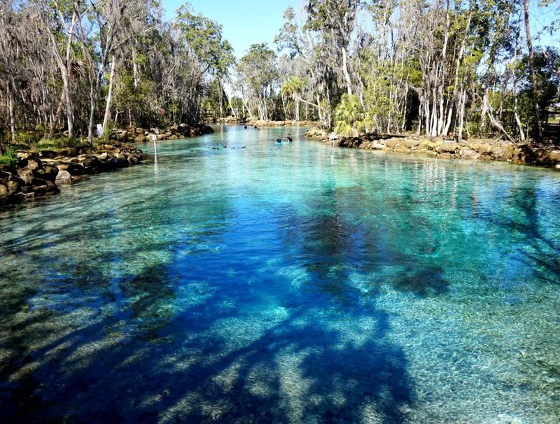 Crystal River & Homosassa