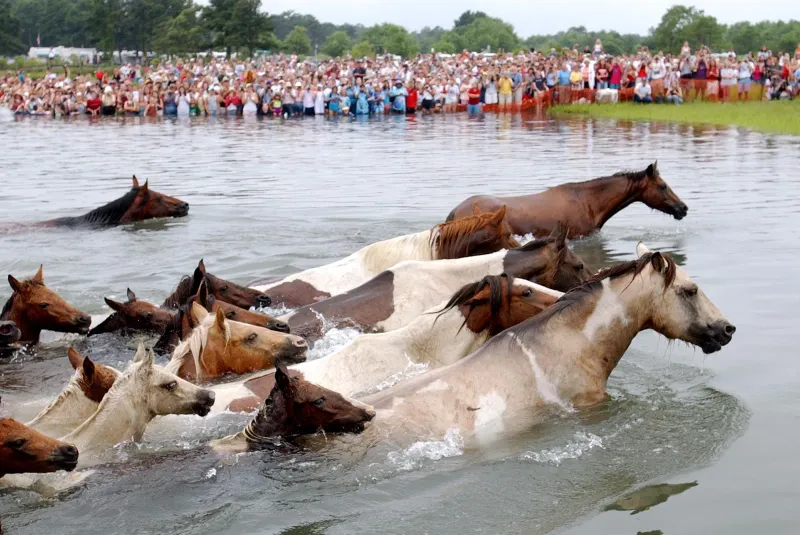 Chincoteague, Virginia