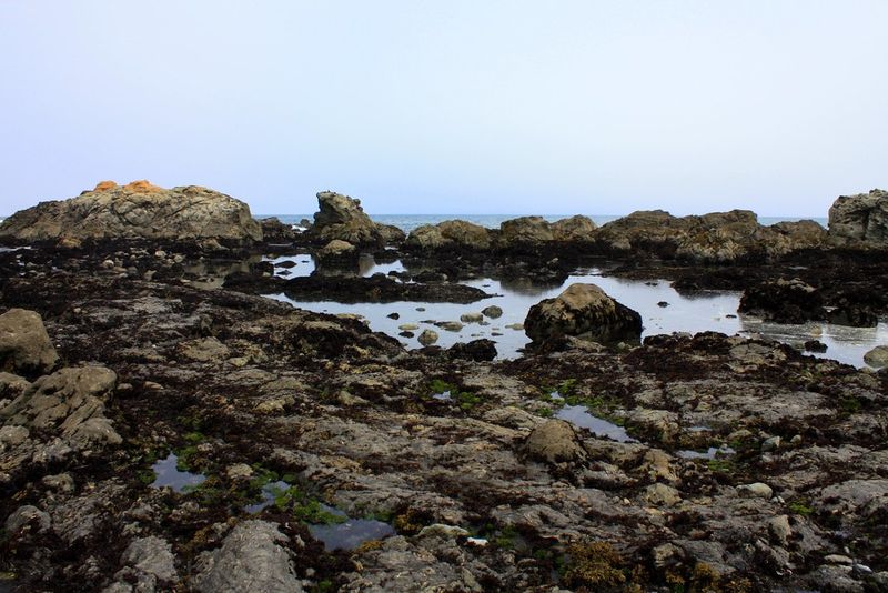 MacKerricher State Park — Laguna Point (Fort Bragg)