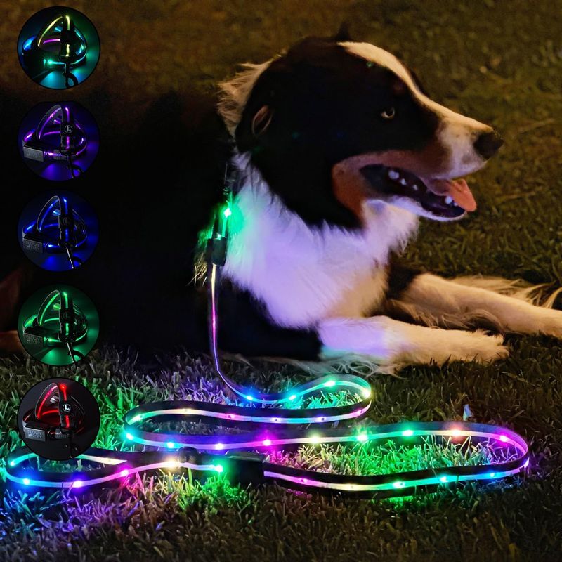 High-Visibility Reflective Leash