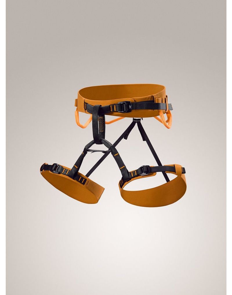 Arc'teryx AR-385a Travel Harness System