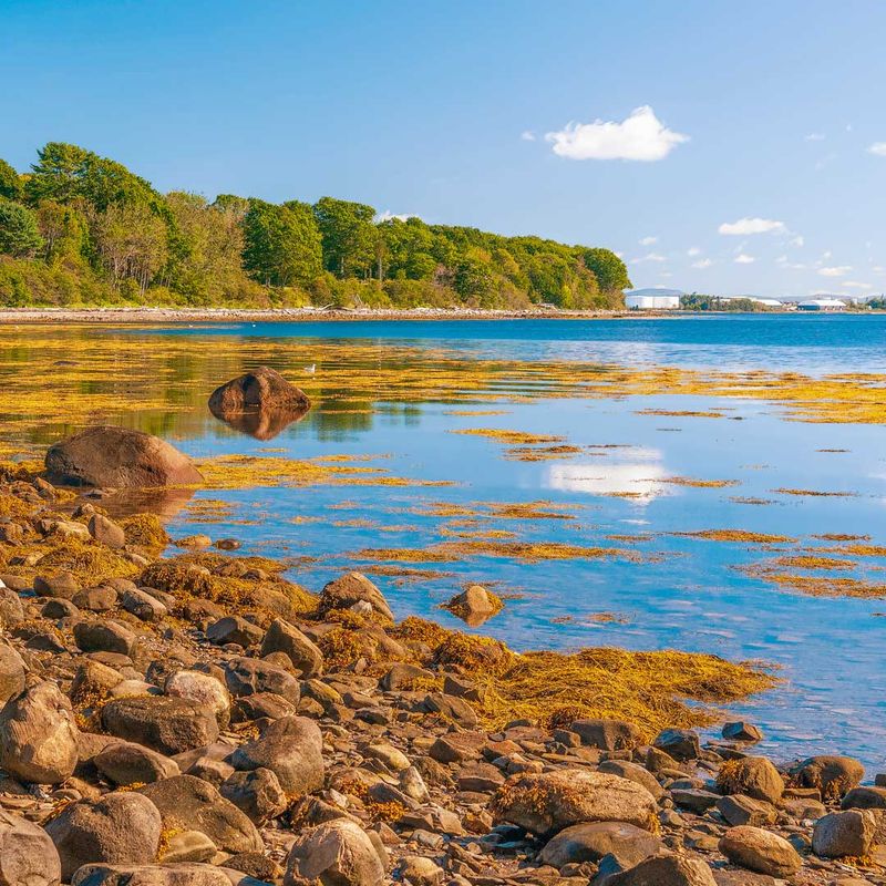Moose Point State Park
