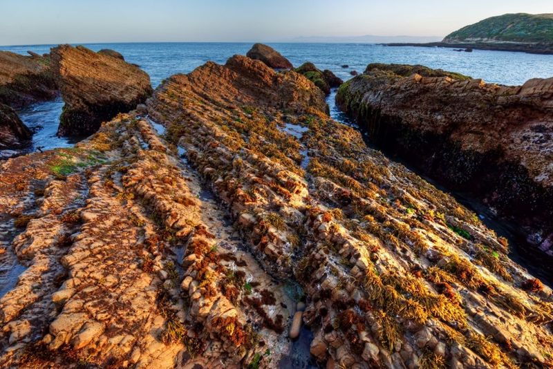 Montaña de Oro State Park — Quarry Cove & Spooner’s Cove (Los Osos)