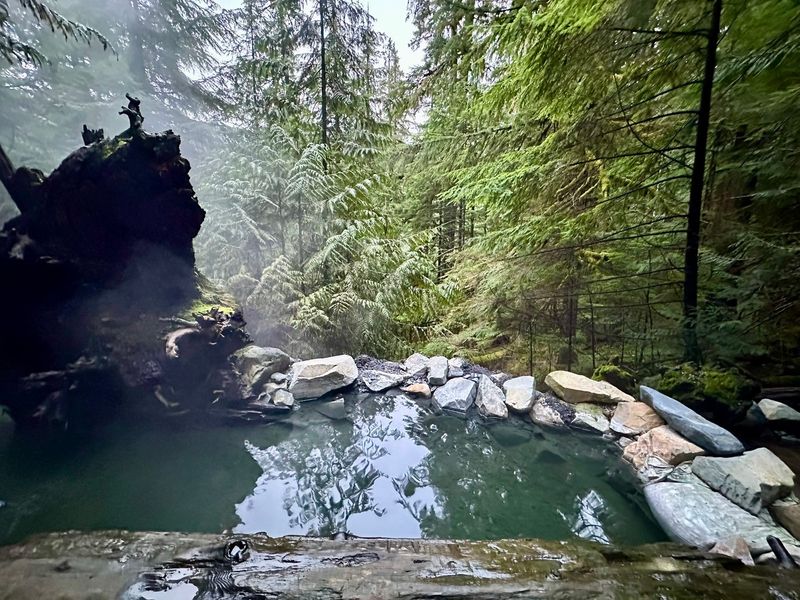 Boulder Creek Trail – Olympic National Park, Washington