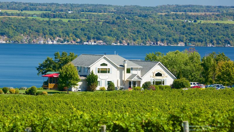 Thirsty Owl Wine Company & Bistro — Cayuga Lake (Ovid)