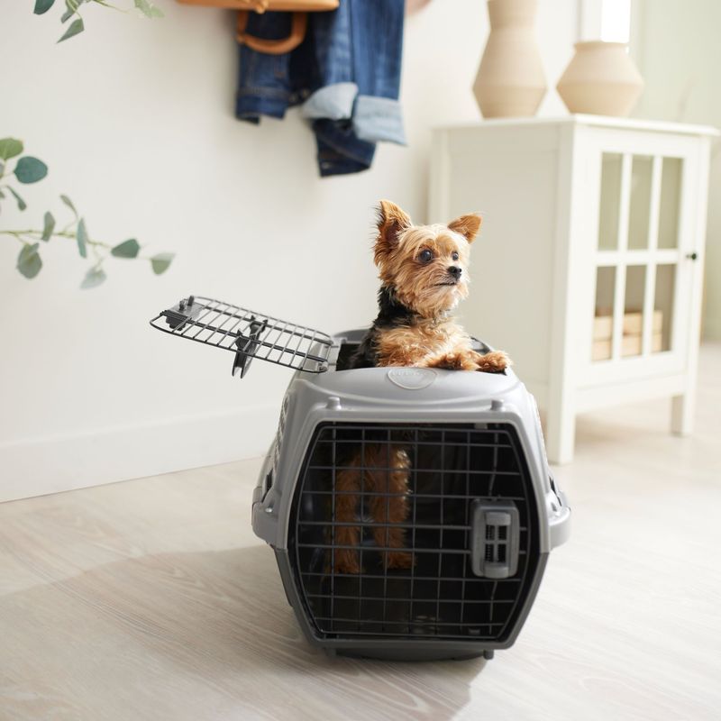 Frisco Two-Door Top-Load Kennel – Durability at Its Best