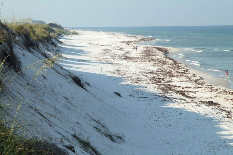 Explore T.H. Stone Memorial St. Joseph Peninsula State Park