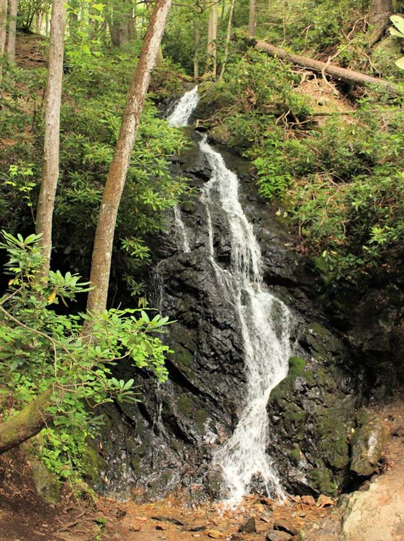 Cataract Falls via Fighting Creek Nature Trail (0.7 miles roundtrip)