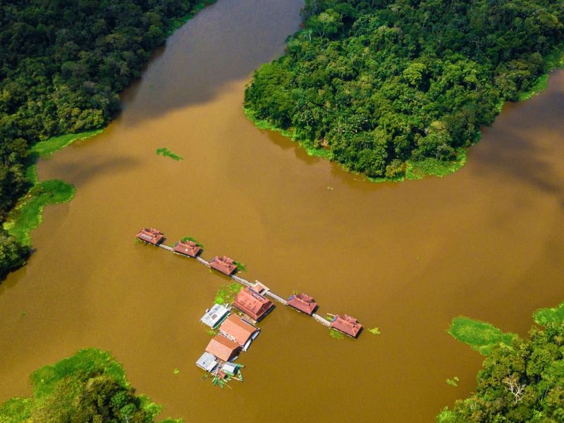 Choose Eco-Conscious and Wildlife-Friendly Tours