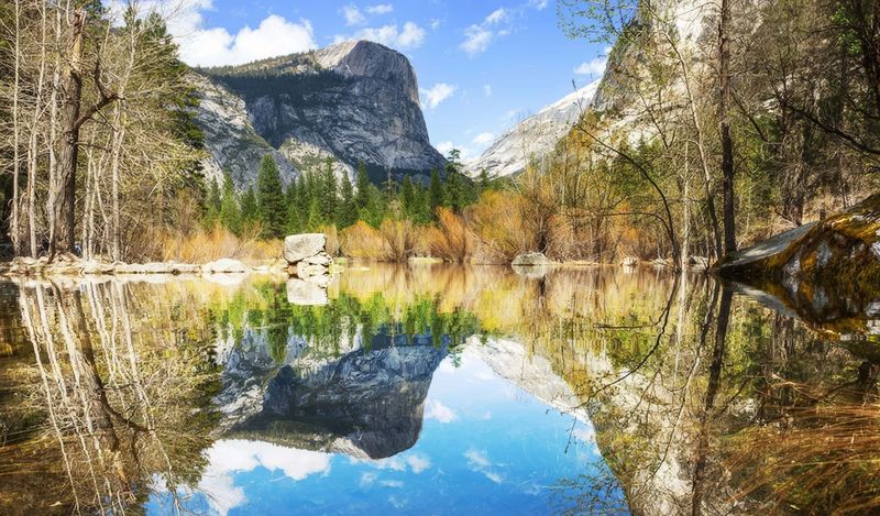 Upper Pines (Near Mirror Lake) – Yosemite National Park, California