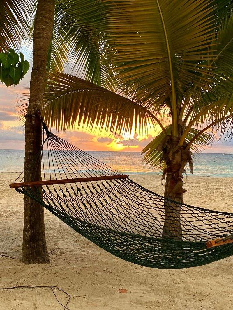 Hammocks Tied Between Palm Trees